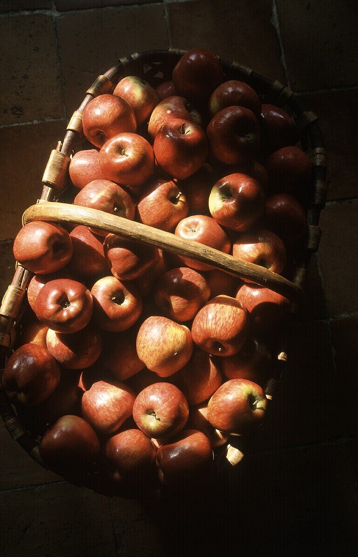 A Basket of Gala Apples