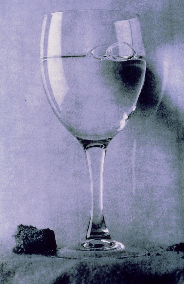 Ein Stielglas mit Wasser (s-w-Aufnahme)