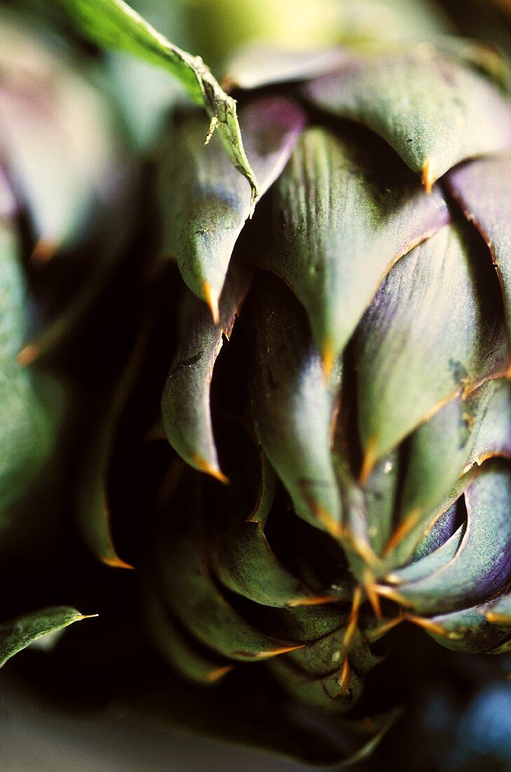 Artichokes Close Up