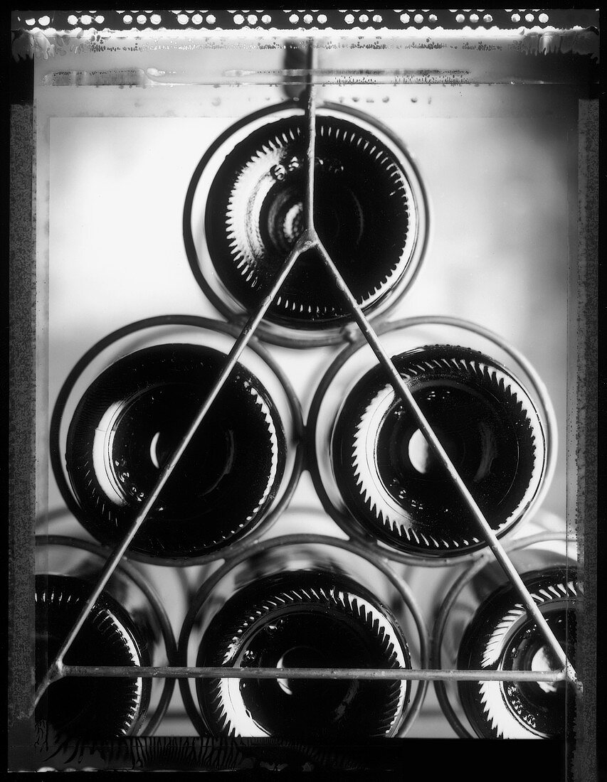 Bottoms of Bordeaux bottles in wine rack (b/w positive)