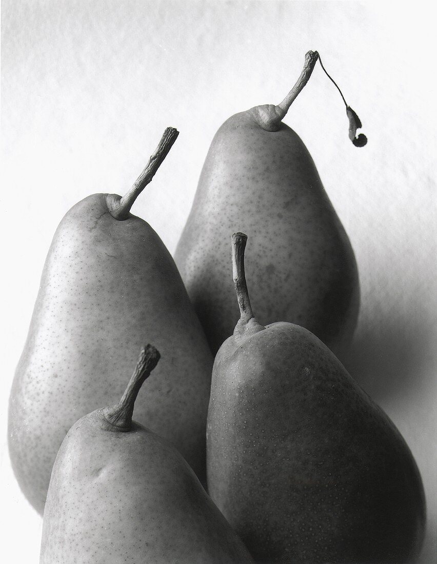 Four Gute Luise pears (black and white photo)