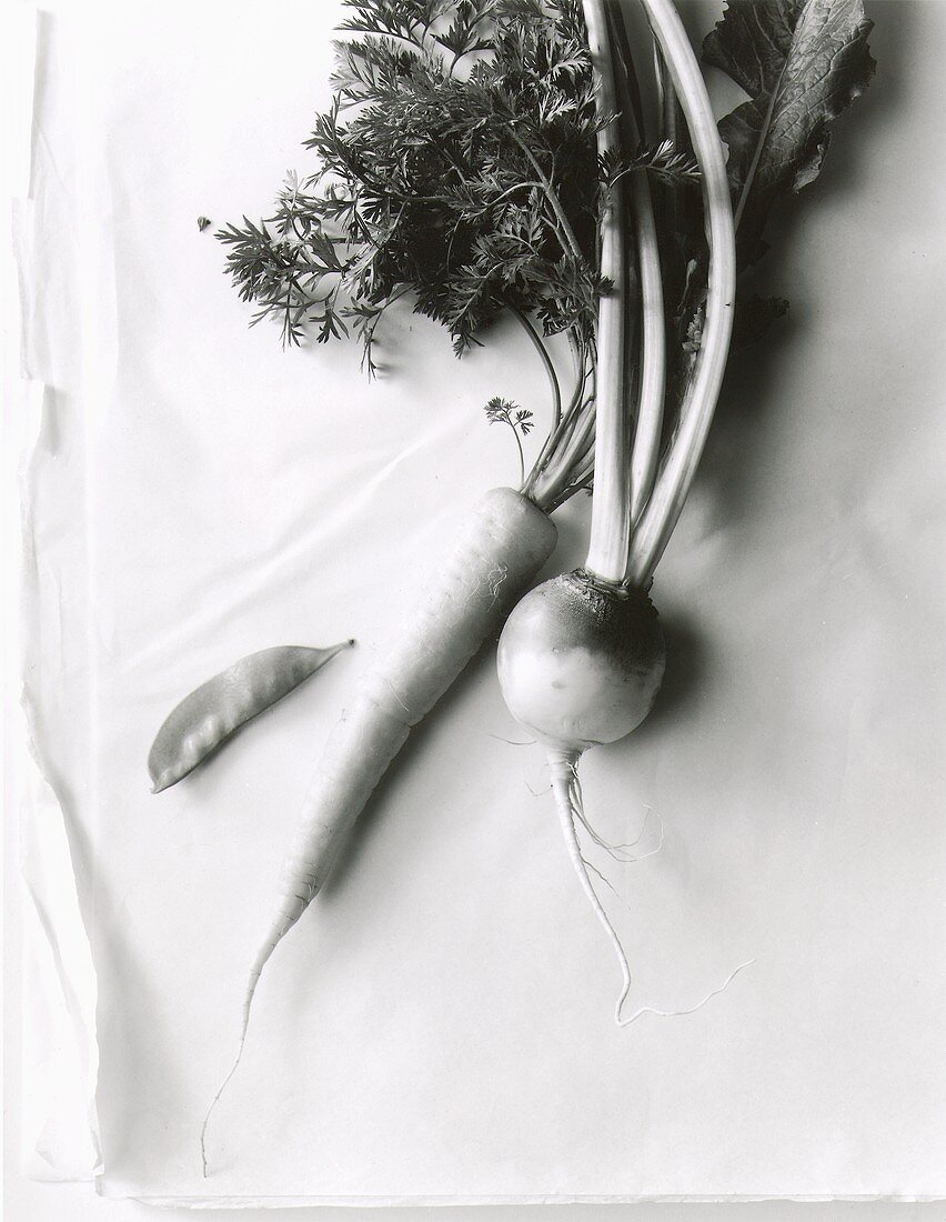 Mangetout, carrot and turnip (black and white photo)