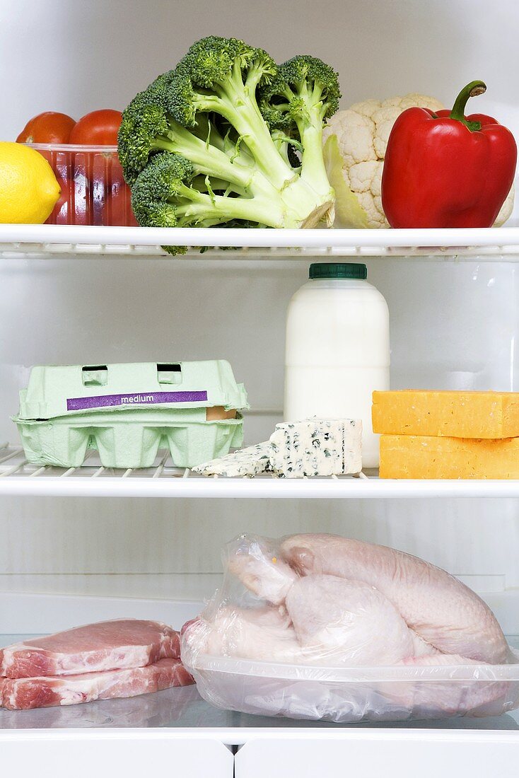 Gruppen von Lebensmitteln im Kühlschrank