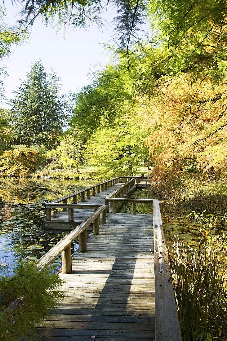 Van Dusen botanical gardens in Vancouver