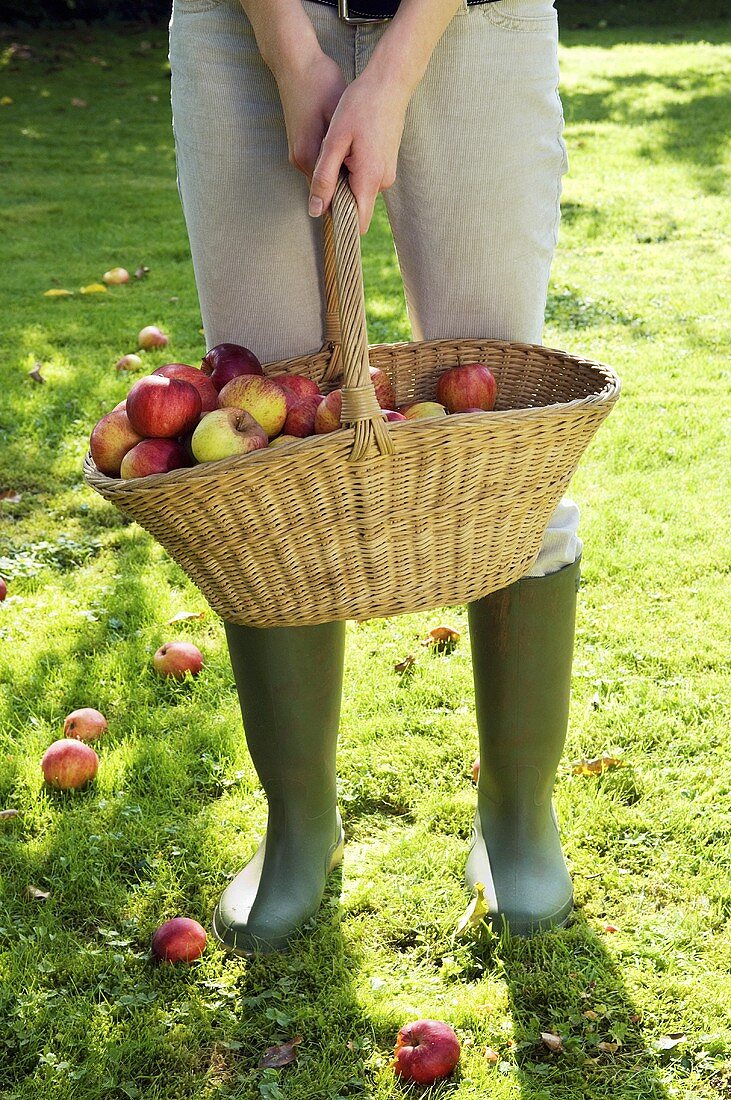 A woman holding a basket of apples