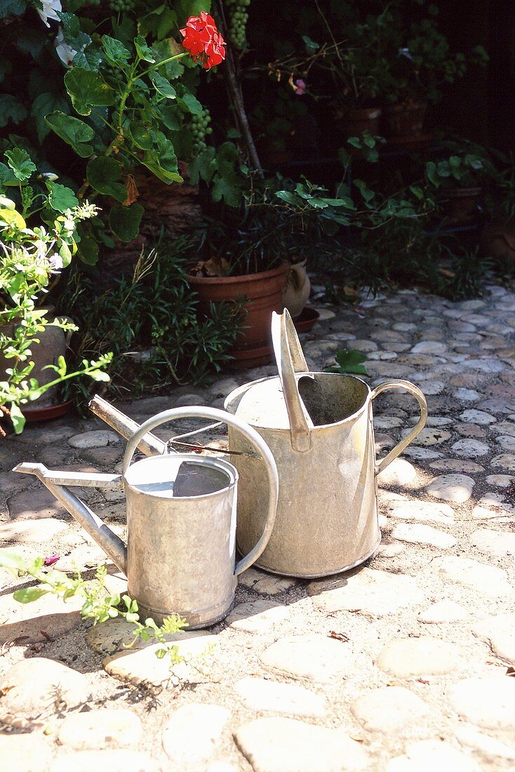 Two watering cans