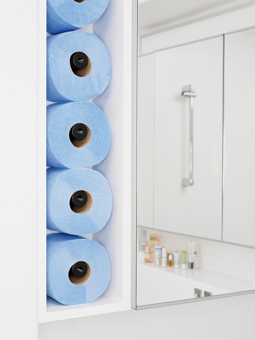 Toilet rolls in a bathroom