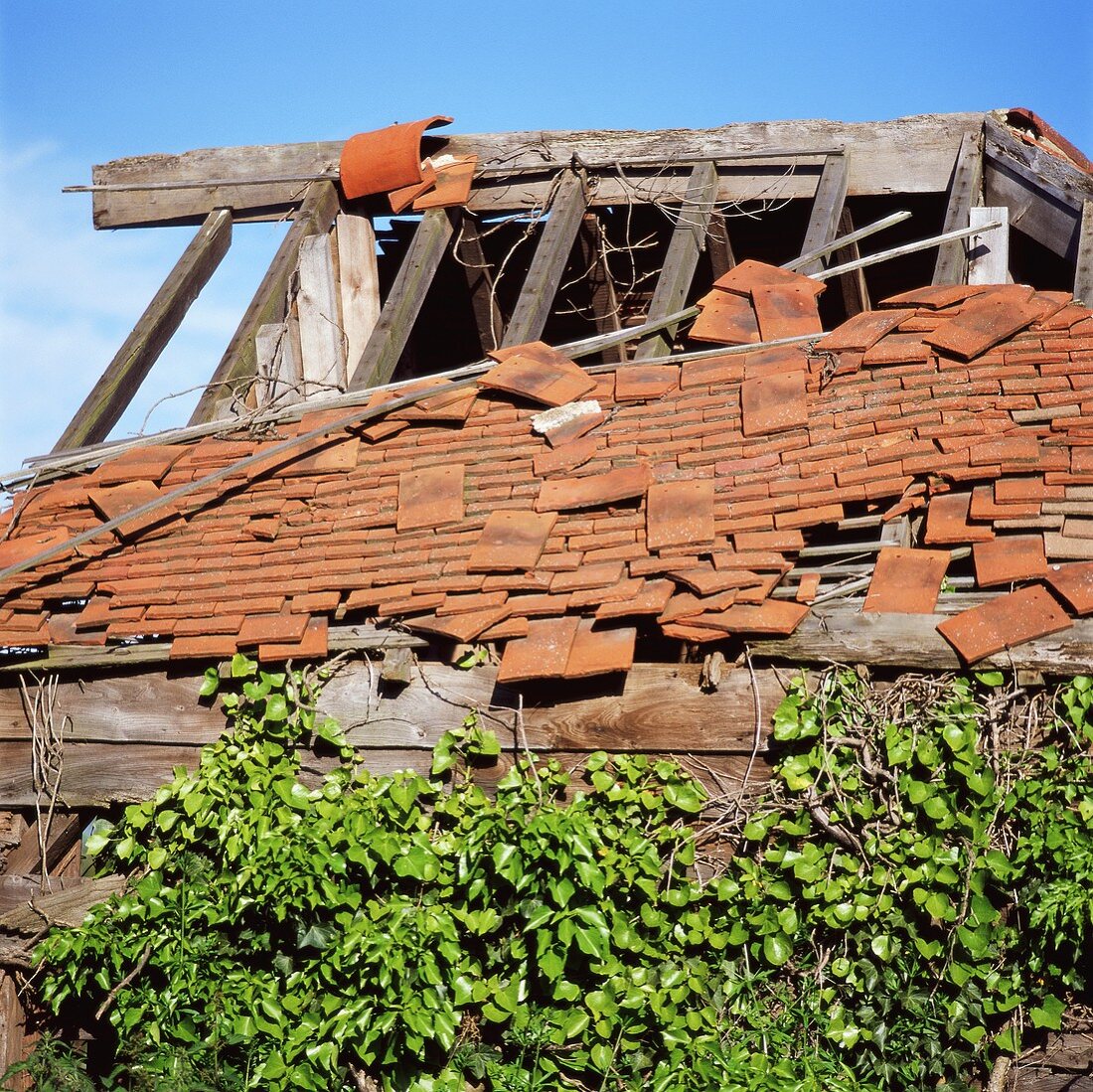 A derelict house