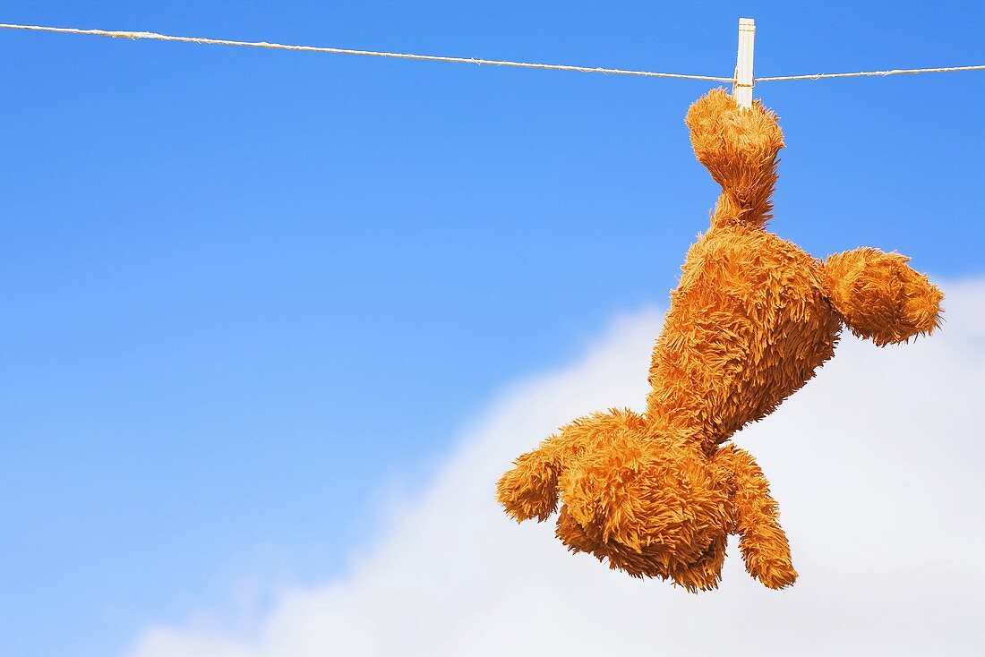 Teddy bear on a washing line