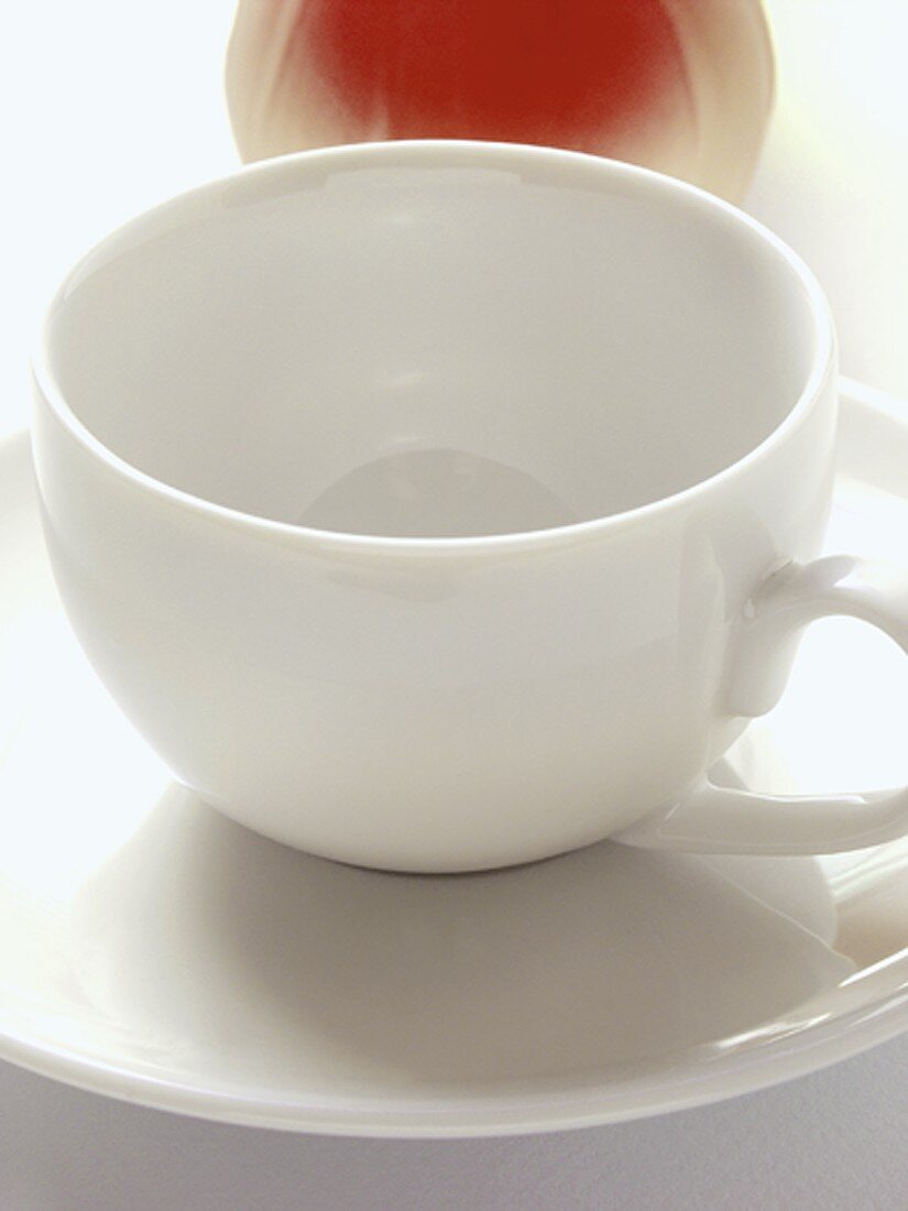 White cup