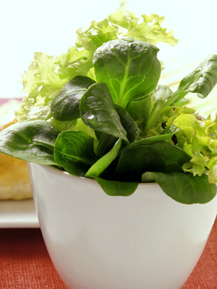 Kleiner gemischter Salat im Schälchen