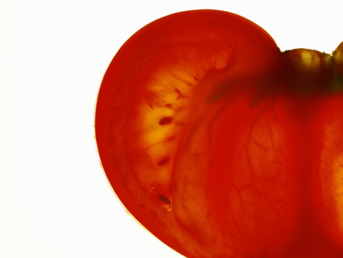 Tomate