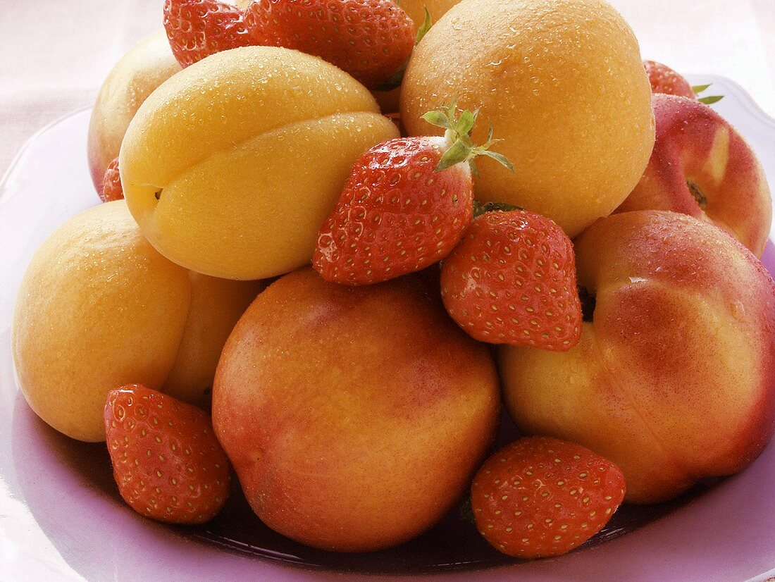 Frische Aprikosen, Nektarinen und Erdbeeren auf Teller