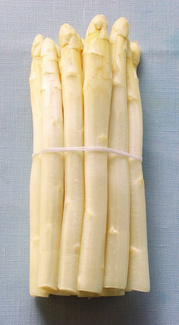 A bundle of white asparagus on a blue background