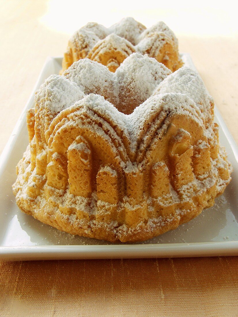 Small fruit cake with icing sugar on plate