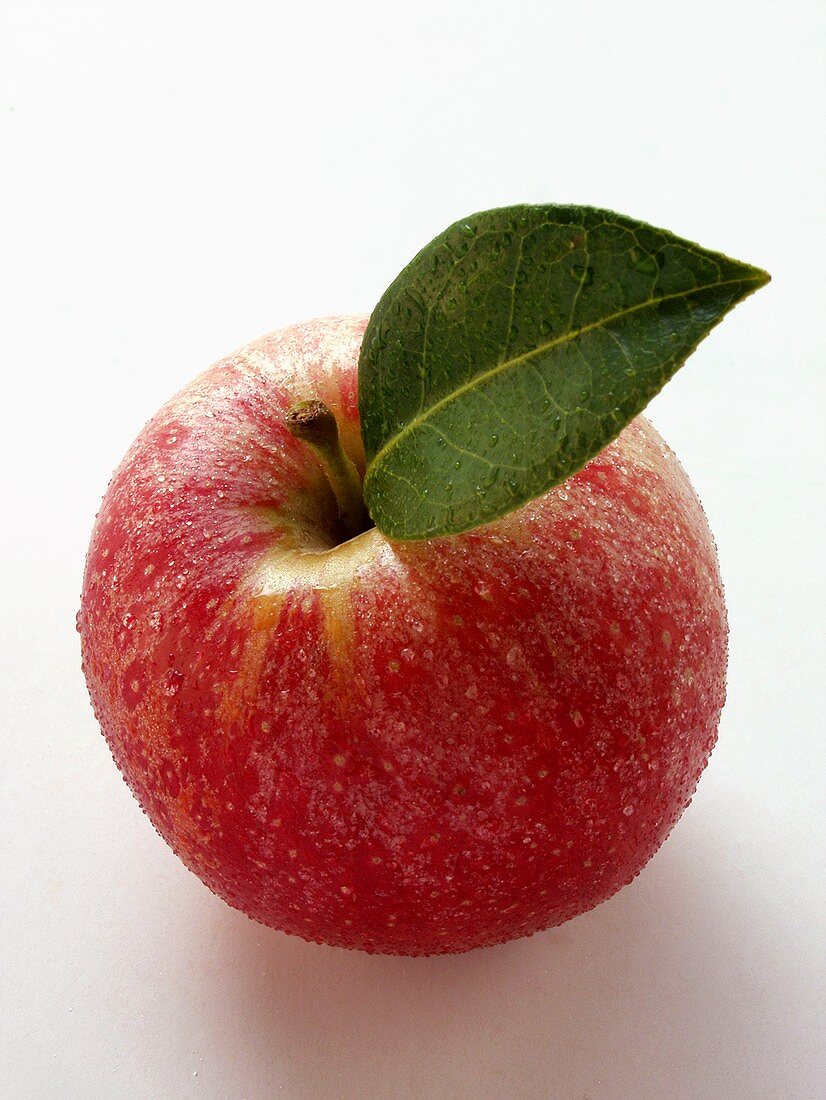 Red apple with stalk, leaf and drops of water