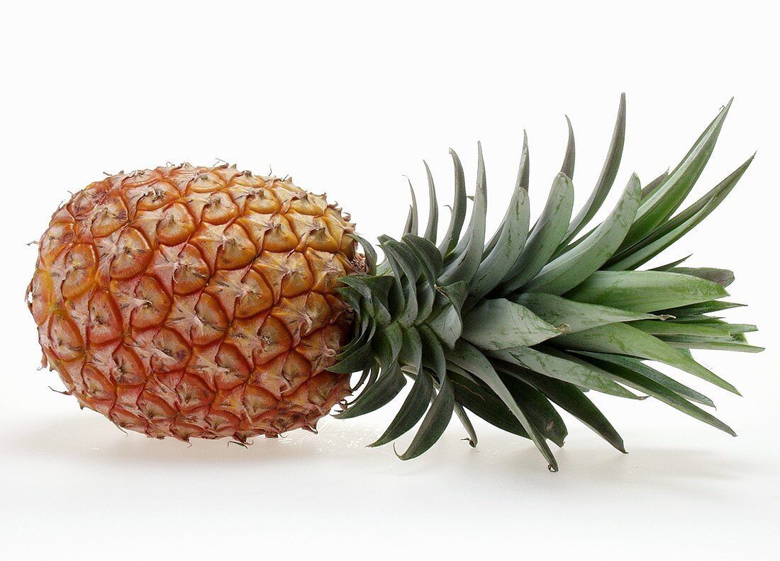 Pineapple (lying on its side)