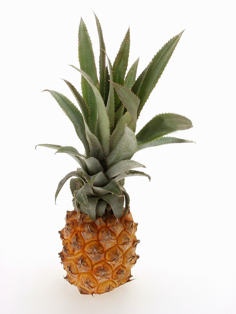 Baby Pineapple