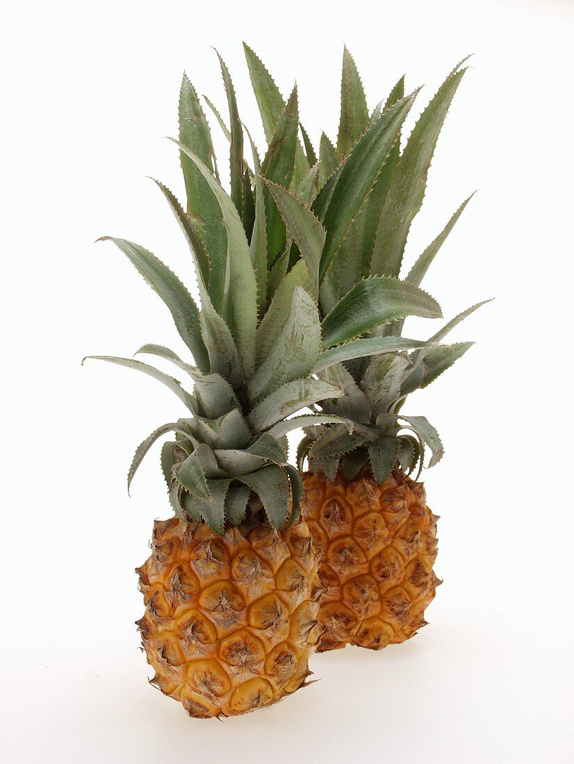 Two baby pineapples (standing)