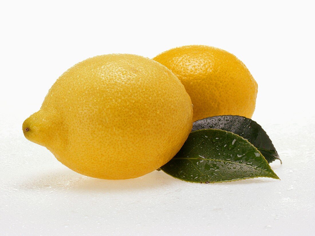 Zwei Zitronen mit Blättern und Wassertropfen