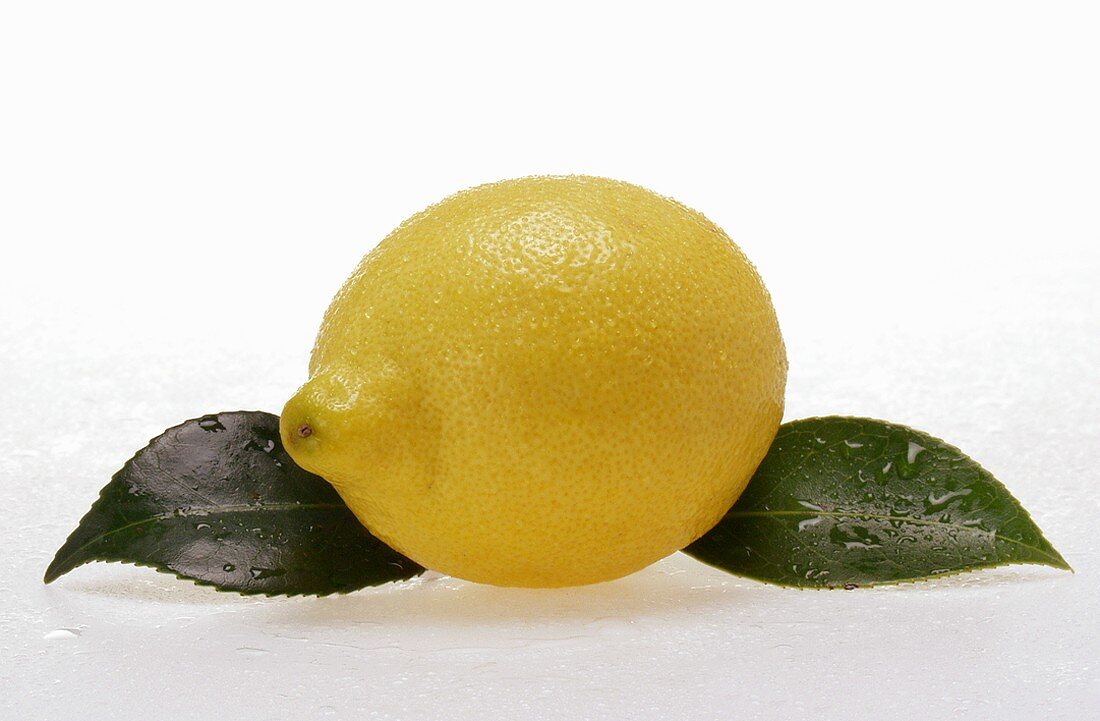 Zitrone mit Blättern und Wassertropfen