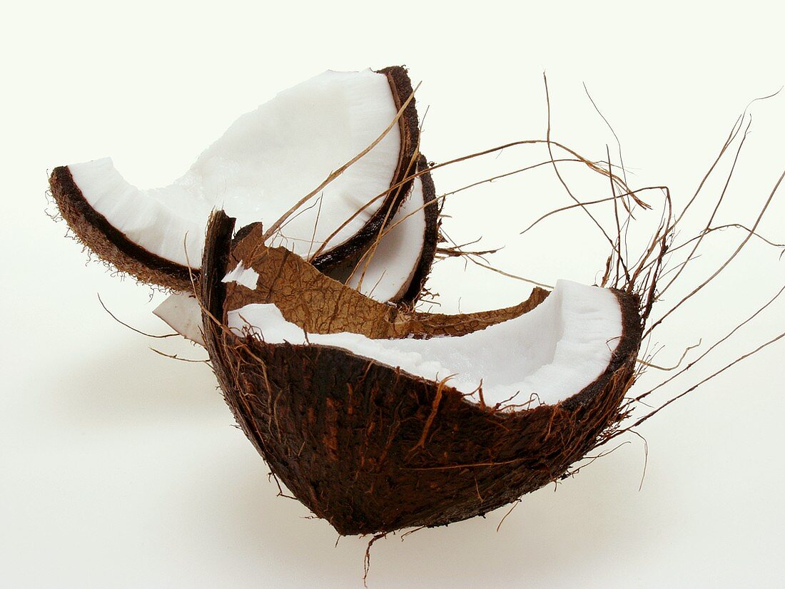 Coconut, cut open