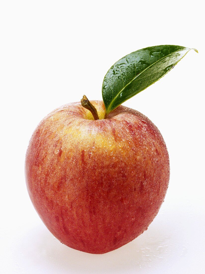 Roter Apfel mit Stiel, Blatt und Wassertropfen