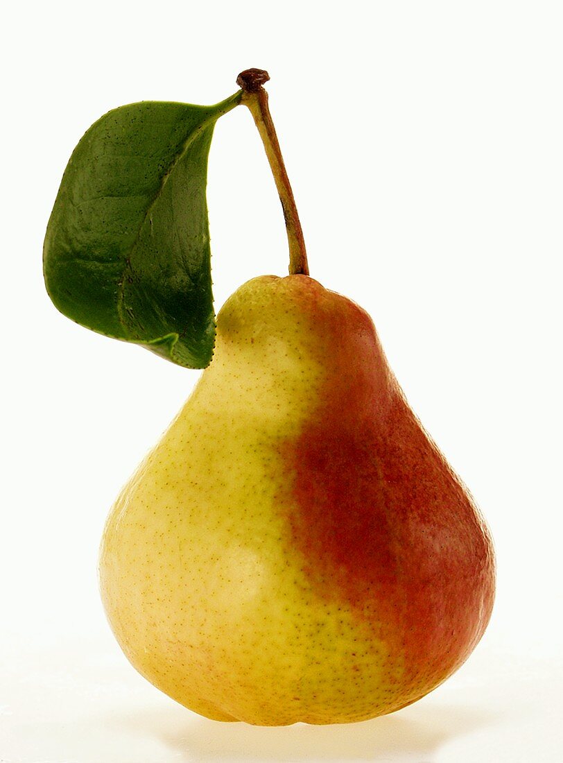 Pear with stalk and leaf