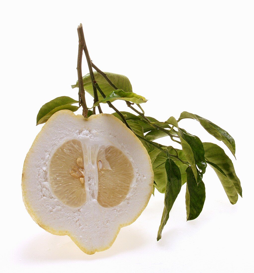Half a lemon with twig and leaves