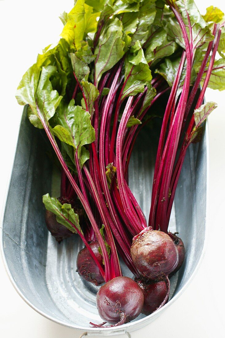 Beetroot with leaves in metal bowl