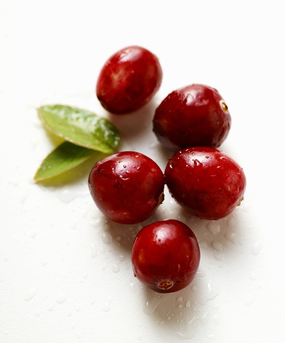 Cranberries with drops of water and two leaves