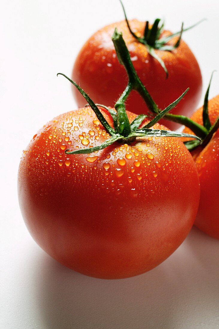 Tomaten mit Wassertropfen