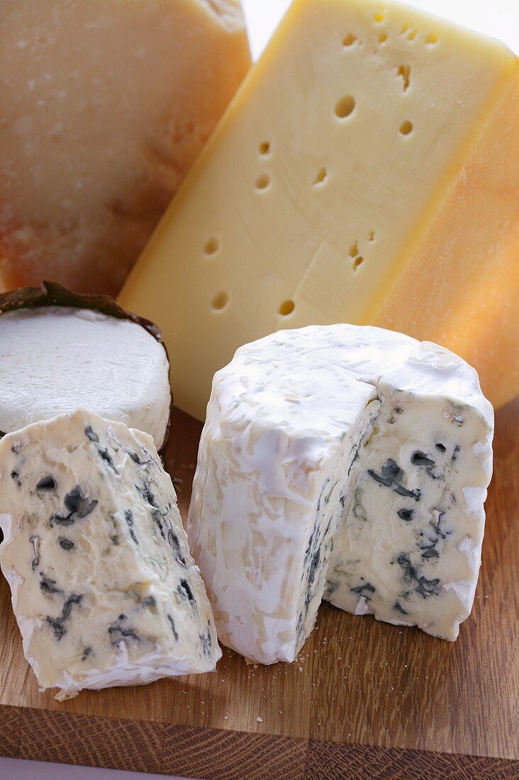 Several Types of Cheeses