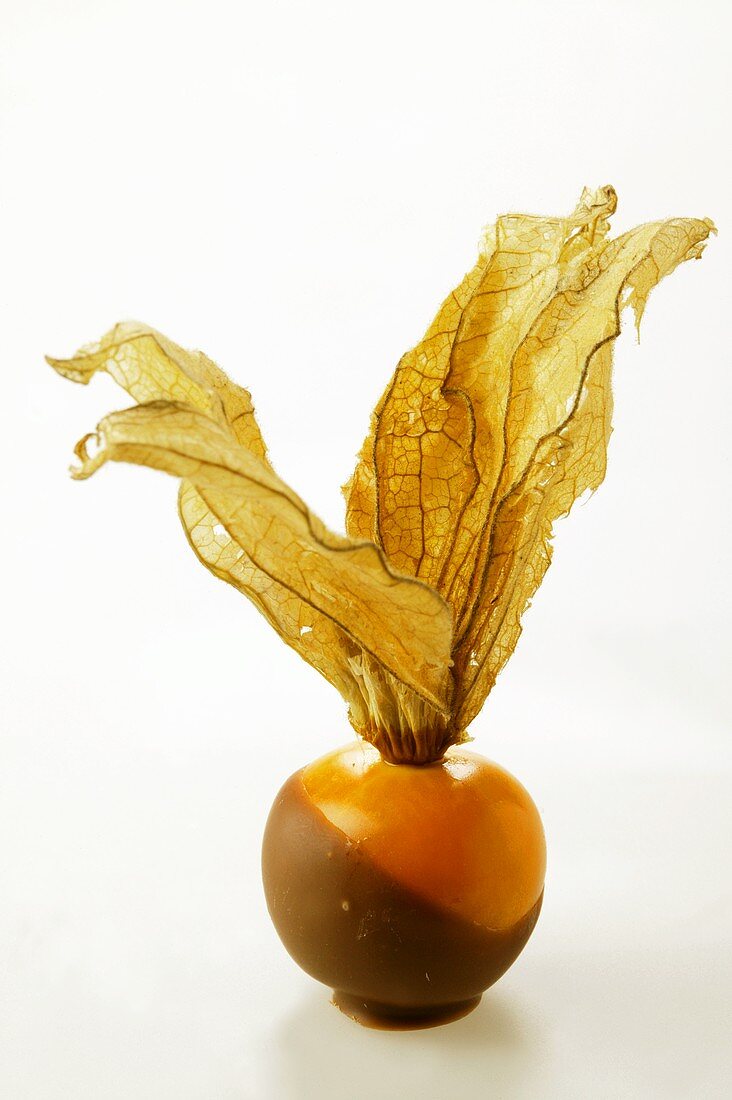 Physalis mit Schokoglasur