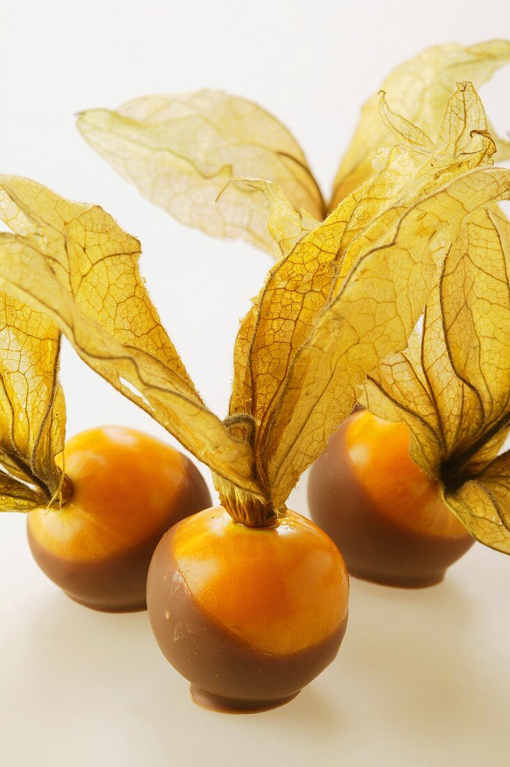 Physalis mit Schokoglasur