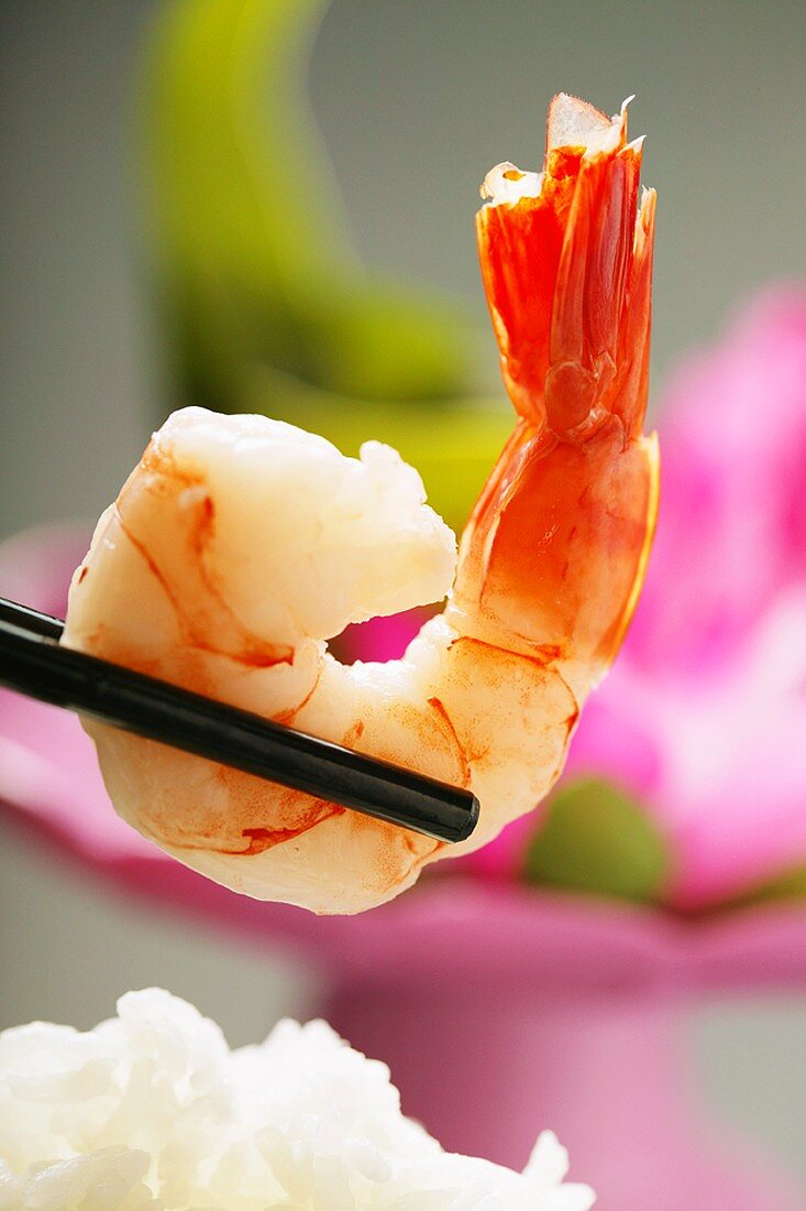 Shrimp on chopsticks above rice