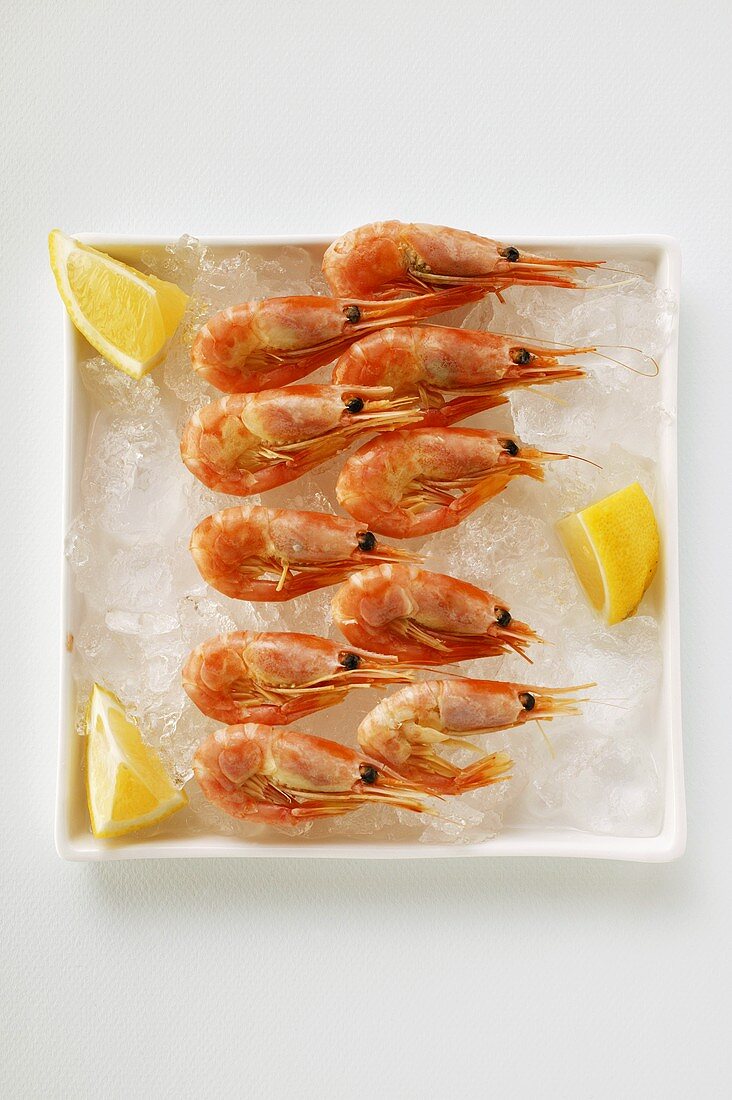Shrimps with lemon on plate with crushed ice