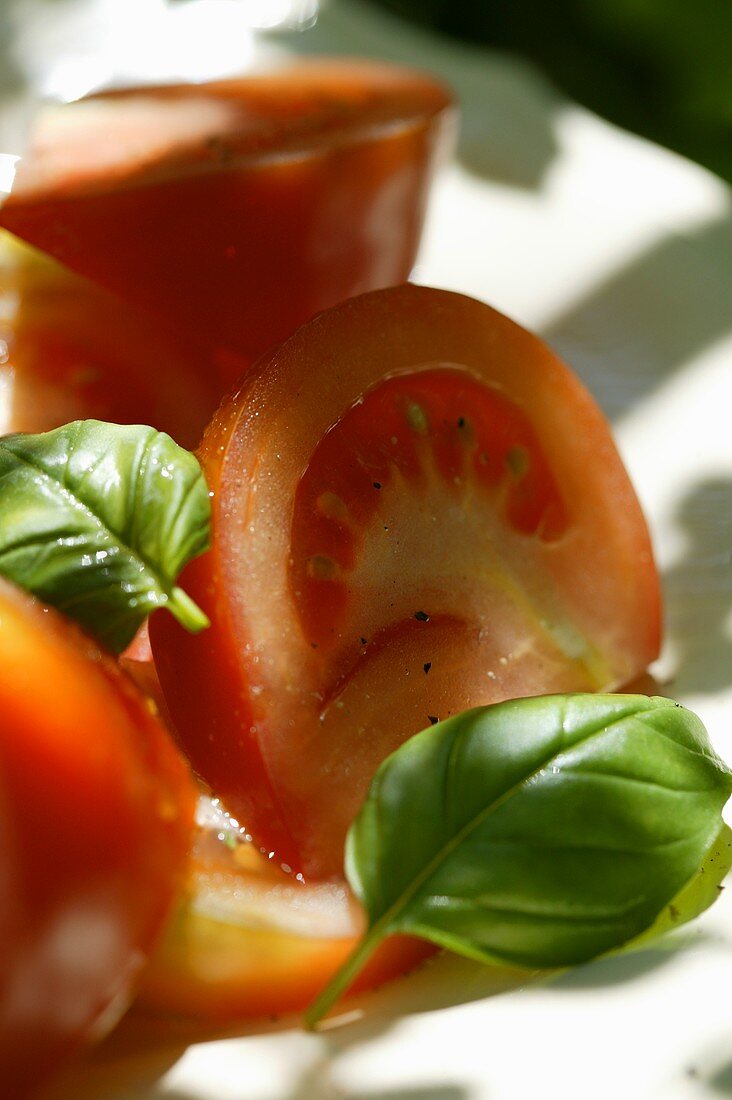 Tomatoes with fresh basil (detail)