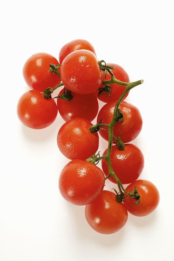 A truss of cherry tomatoes (cocktail tomatoes)