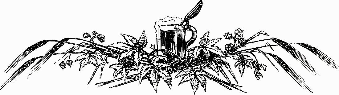 Tankard with hops and ears of corn (Illustration)