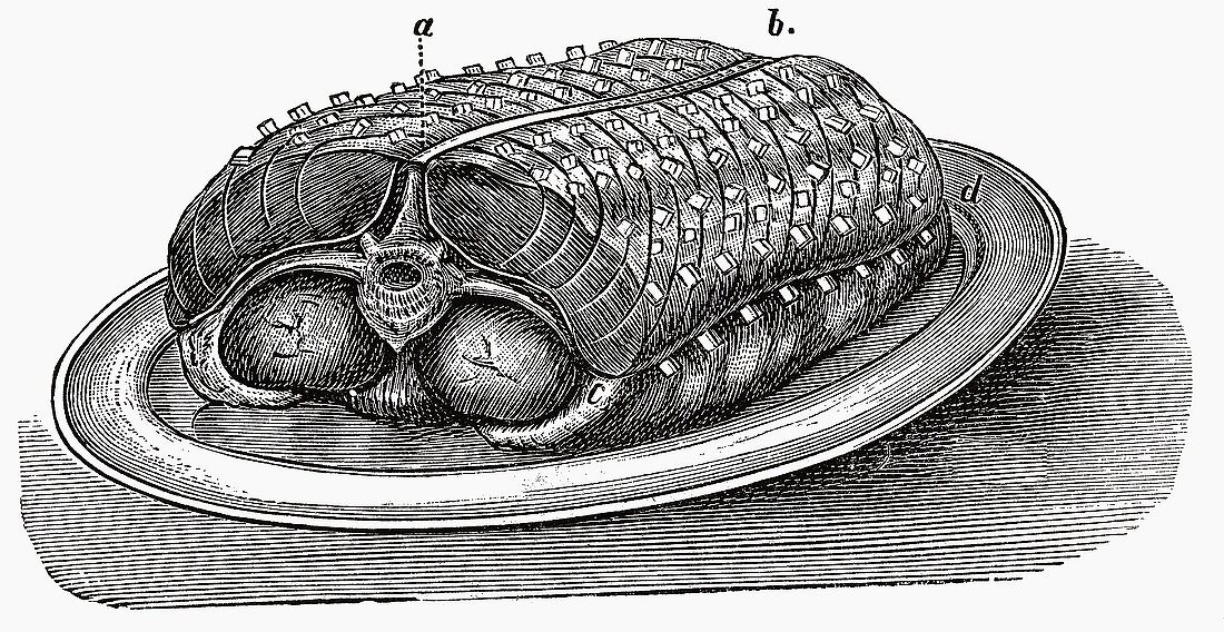Saddle of veal on platter (Illustration)