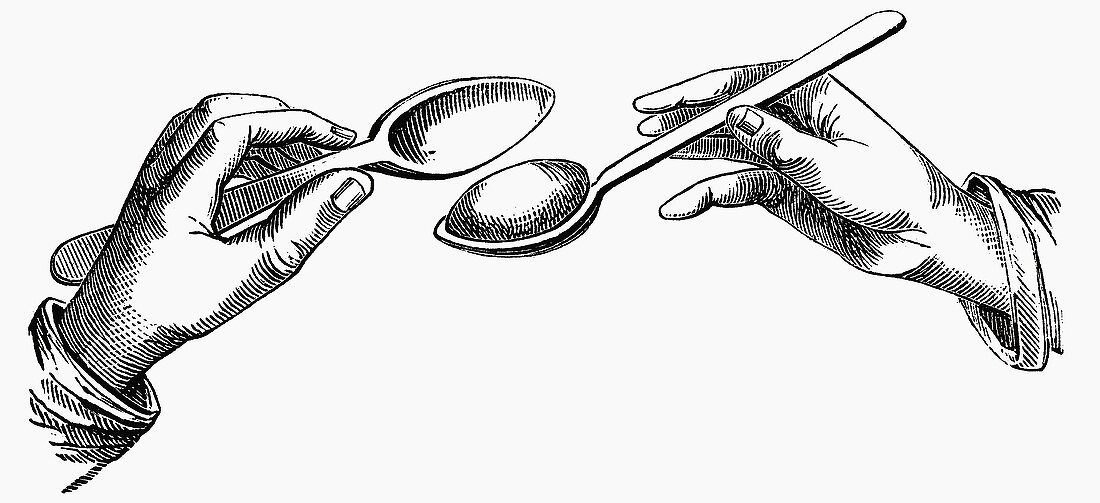 Forming a dumpling (Illustration)