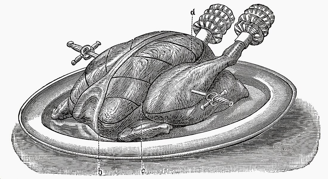 Roast turkey (Illustration)