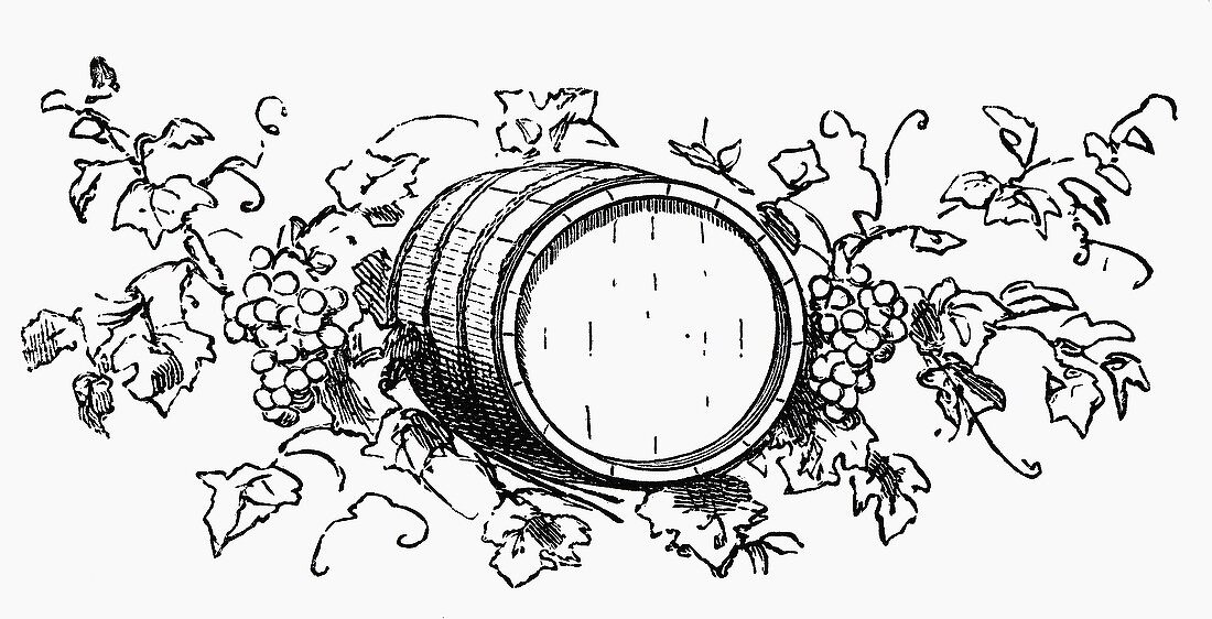 Weinfass zwischen Trauben und Weinblättern (Illustration)