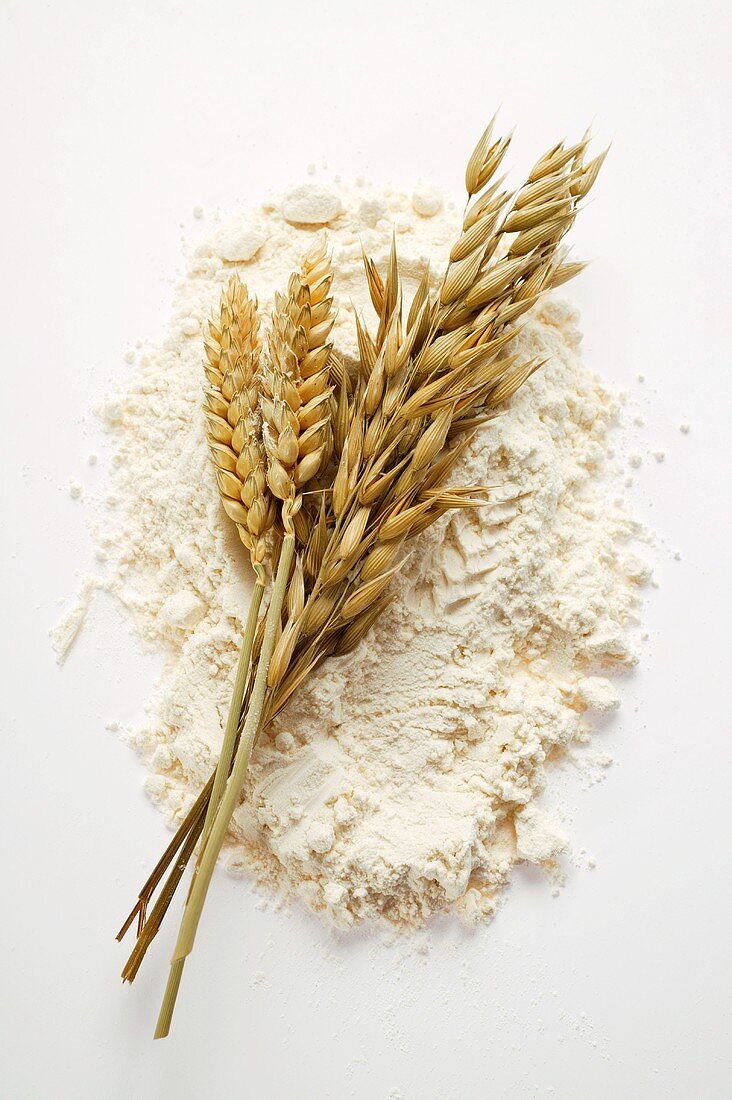 Ears of wheat and oats on flour