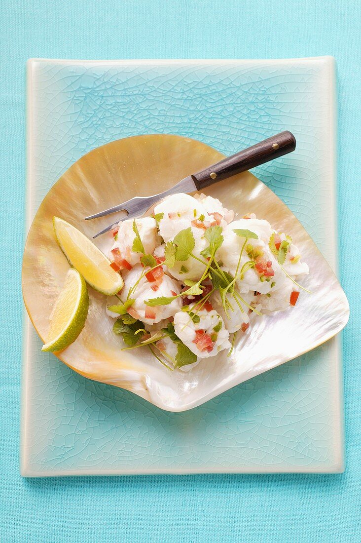 Ceviche: fish fillet with coriander and peppers