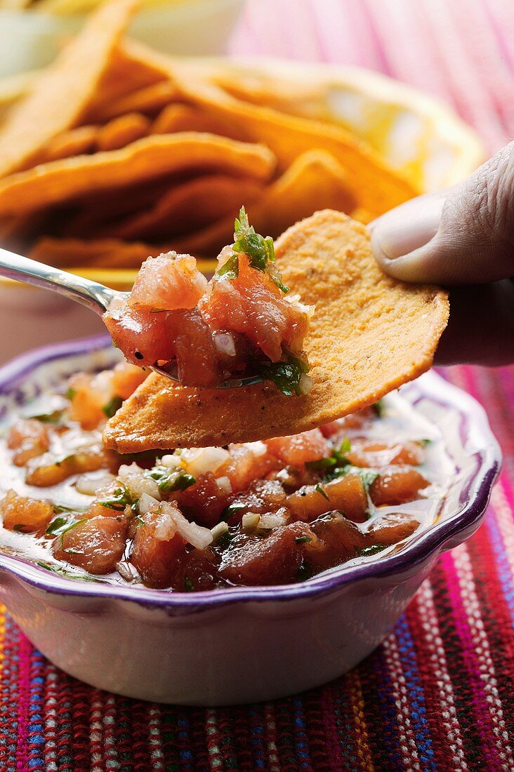 Tomatensalsa mit Tortillachips