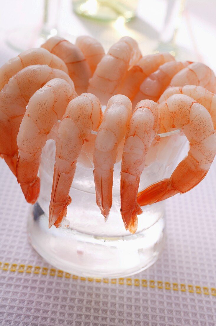 Shrimps in glass