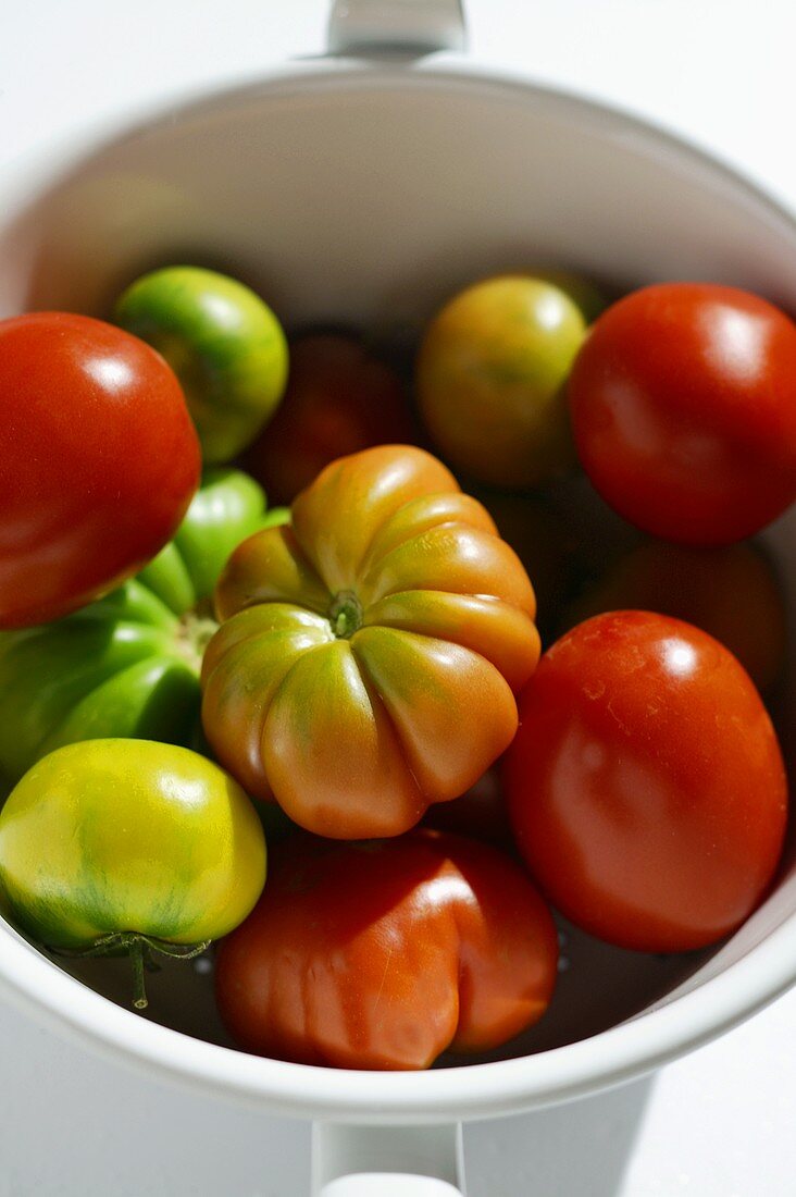 Assorted tomatoes in white pan