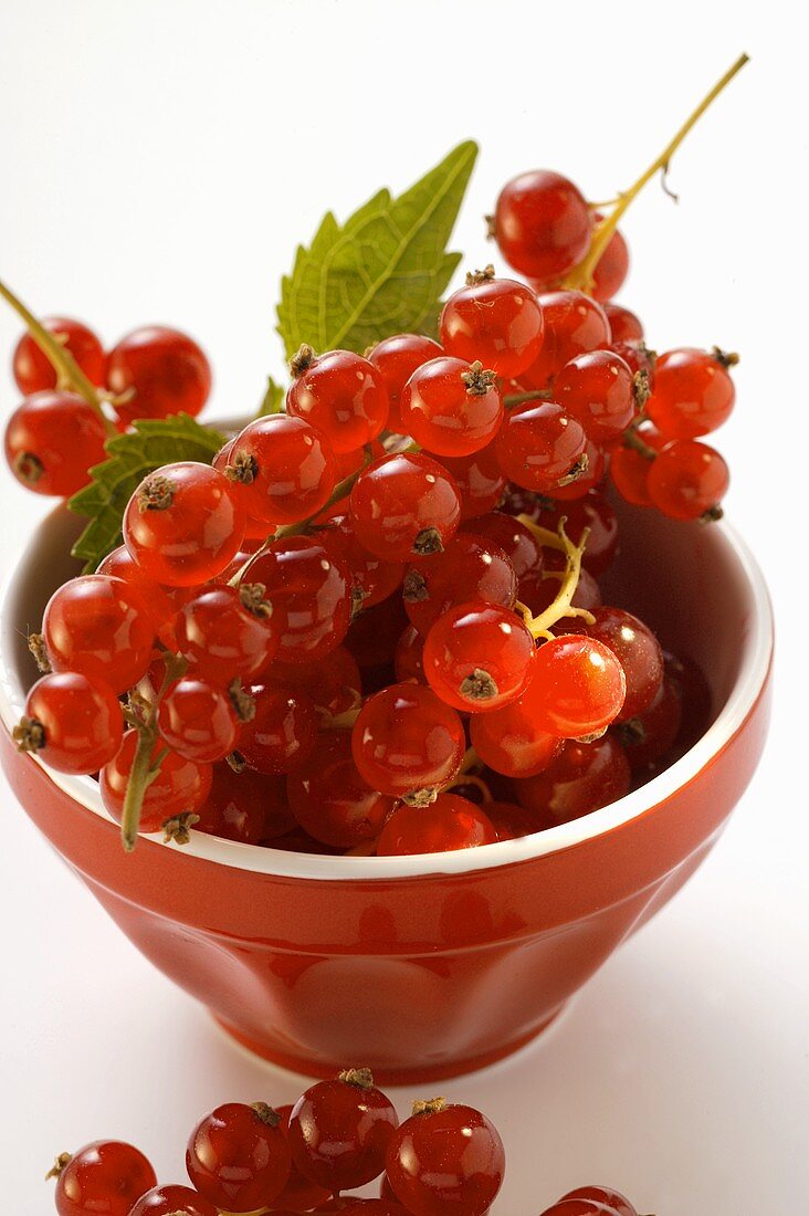 Redcurrants in small bowl